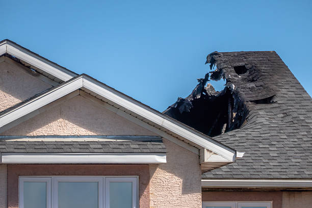 Top rated local Fire Damage Removal specialists in Belle Mead, NJ
